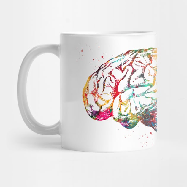 Human Brain by erzebeth